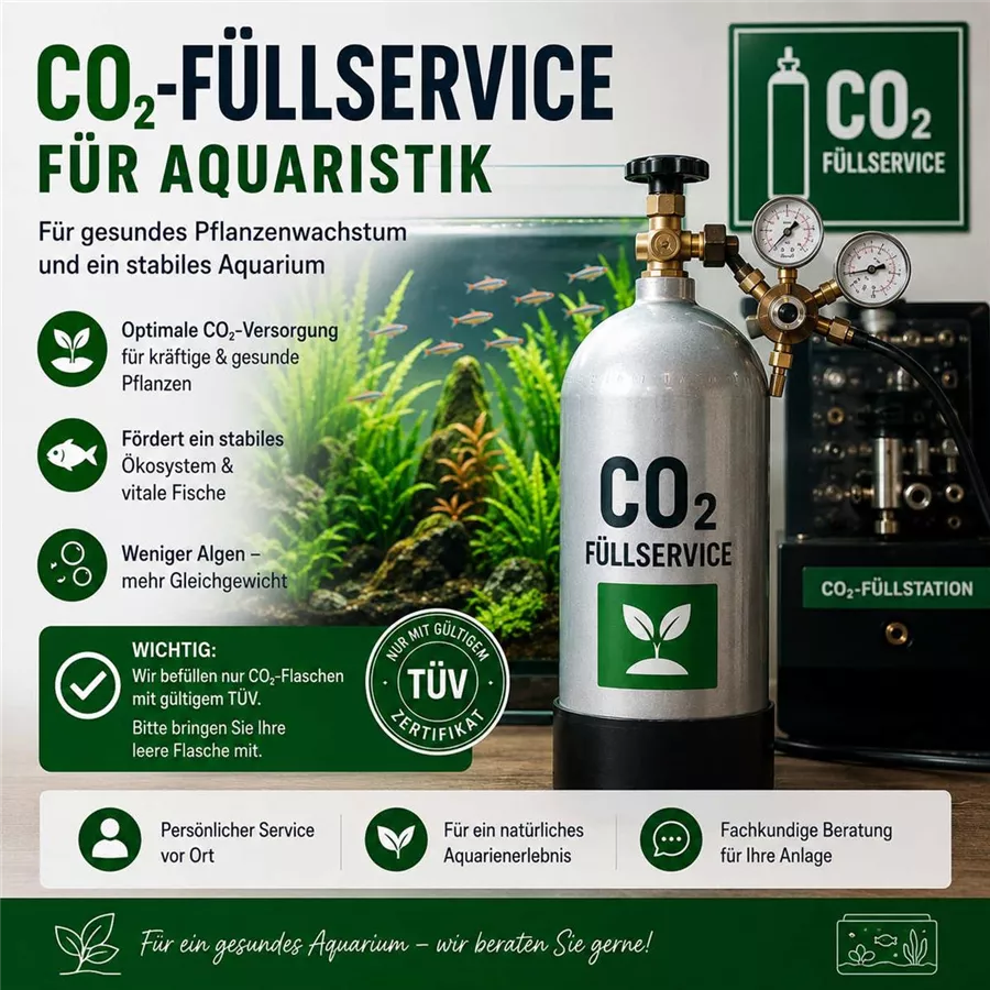 CO2-Füllservice für Aquaristik