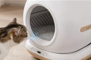 Selbstreinigendes Katzenklo im Test: Lohnt sich die Anschaffung?