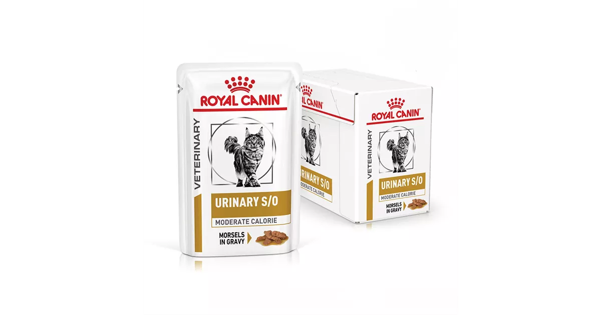 ROYAL CANIN Veterinary URINARY S/O MODERATE CALORIE in Sauce 12 x 85 g