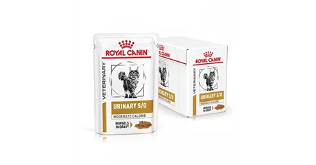 ROYAL CANIN Veterinary URINARY S/O MODERATE CALORIE in Sauce 12 x 85 g