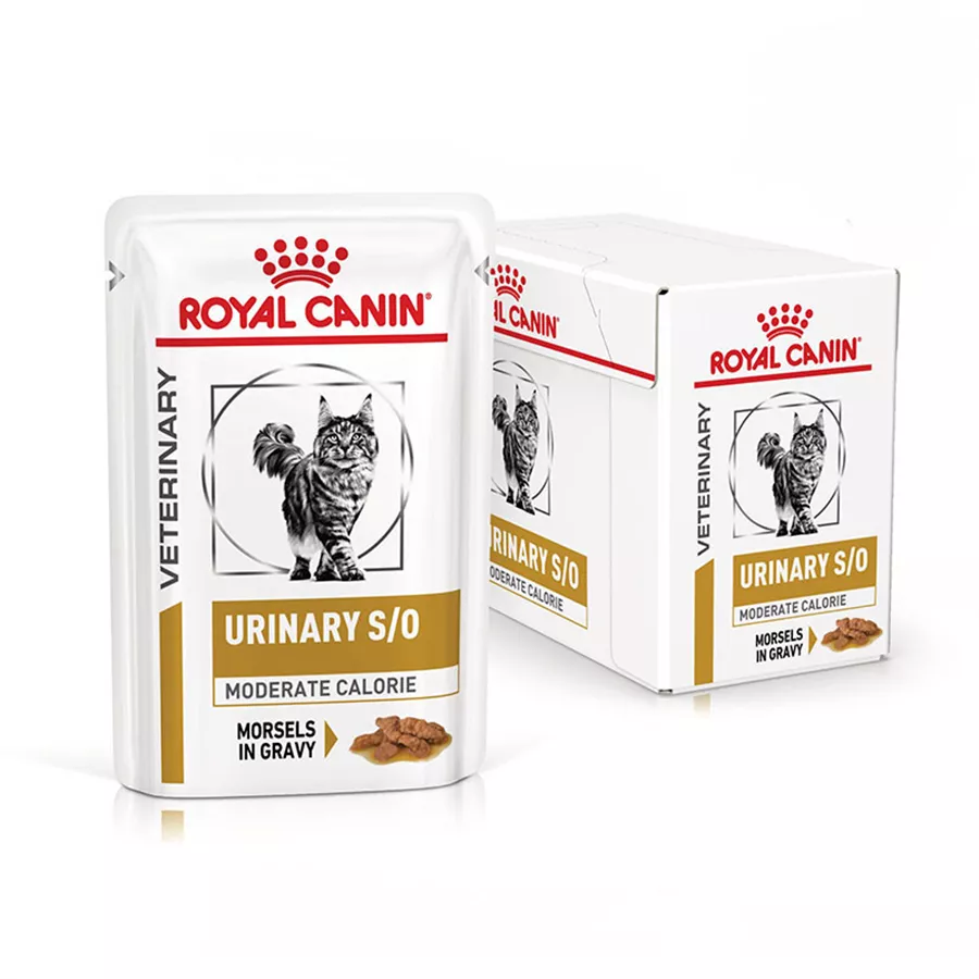 ROYAL CANIN Veterinary URINARY S/O MODERATE CALORIE in Sauce 12 x 85 g