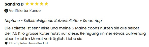 Beschreibung des Bildes