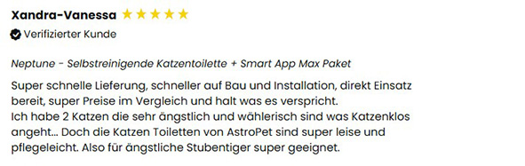 Beschreibung des Bildes