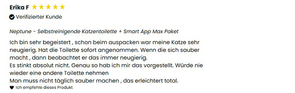 Beschreibung des Bildes